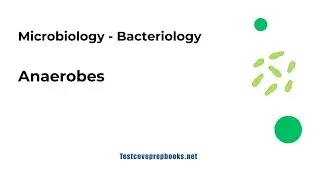 Anaerobes | Bacteriology | ASCP MLS Prep