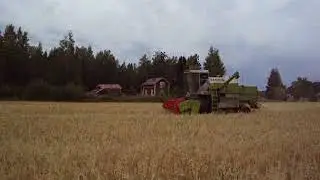 Sekulikasvuston puintia 2018