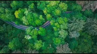 Lamington Group | Net zero roadmap