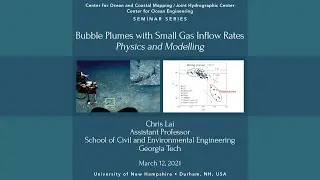 Bubble Plumes with Small Gas Inflow Rates&mdash;Physics and Modelling