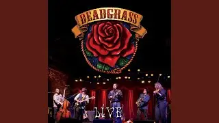 Wild Horses (Live)