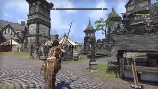 The Elder Scrolls Online: Stormhaven Wayrest
