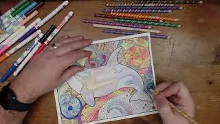 Relaxing Coloring Page - Orca