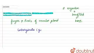 Mycorrhiza is a mutualistic association. How do the organisms involved in this association gain from