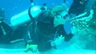 Friendly Grouper!