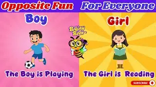 Opposite Fun, for Everyone! | Fun Learning Opposite Words for Kids | Brainy Bees