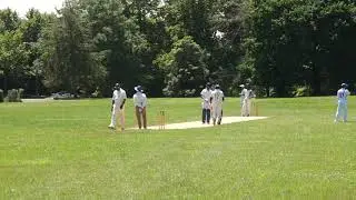 Cricmax Inning Jessy Singh USA Player  85 runs