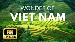 Vietnam 4K Cinematic | Stunning Scenery, Travel Guide & Virtual Tour of Vietnam