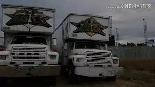 Muchachita Organizacion X  Cumbias De Antaño
