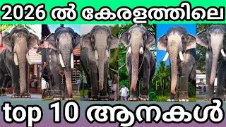 2026 ൽ കേരളത്തിലെ top 10 ആനകൾ 🤩🤩🔥. ഒന്നാമൻ ആര്??. Top 10 elephants in Kerala in 2026