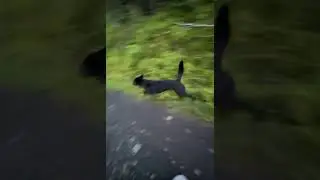 FAVOURITE MOMENTS CAPTURED IN NORWAY!
