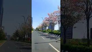 Gift City Gandhinagar | India's 1st Smart City #giftcity #smartcity #gandhinagar