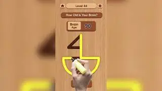 Line Drawing No Lift Puzzle