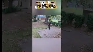 #dog #dogchase ❤️🐕&zwj;🦺🦮🐕&zwj;🦺🦮