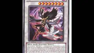 www.paradisdejaden.com : Pack du duelliste Crow (DP11)