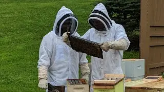 BEEKEEPING: Equipment needed for Beginners