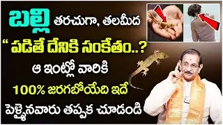 బల్లి తలపైన పడితే చనిపోతారా..? | Balli Sastram | Effects Of Lizard Falling | Devotional World