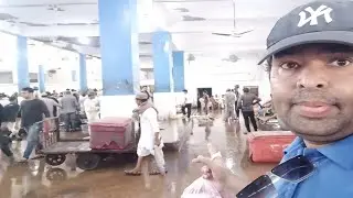 Karachi Fishery | Fish Wholesale Market | Fish 🐠🐟 Auction Neelami | Fishri Machli Market Karachi
