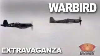P51, P47, P38 Warbirds