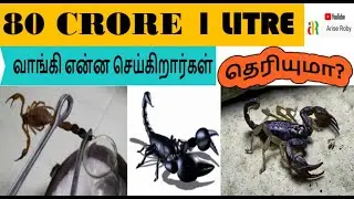 தேள் விஷம் 80 Crore 1 LITRE WHY  Scorpion poison so Expensive ariserobytalks I ariserobyspeaks