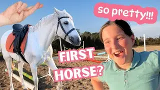 ИЩУ СВОЮ ПЕРВУЮ ЛОШАДЬ &mdash; ОНА ТА ЕДИНСТВЕННАЯ?