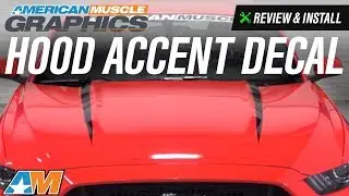 2015-2017 Mustang American Muscle Graphics Hood Accent Decal Review & Install