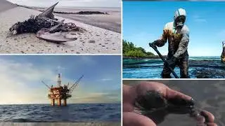 About Green Boom's Oil Only Absorbents