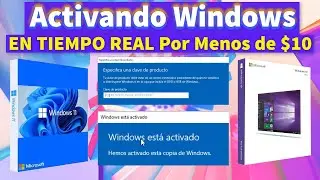&iquest;C&Oacute;MO COMPRAR LICENCIA DE WINDOWS 10/11 PRO BARATA? | OEM (Activando Windows en Tiempo Real)