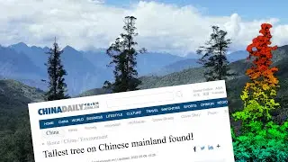 LiDAR Helps Discover the Newest Giant - &ldquo;The Tree King&rdquo; - Largest Tree in East Asia