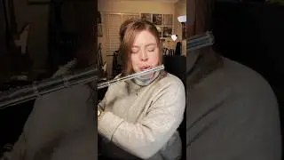 Good Egg Galaxy from Super Mario Galaxy #nintendo #wii #music #nostalgia #flute #vgm #nintendowii