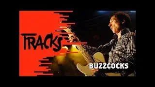 Buzzcocks : Pete Shelley, le punk de Manchester (2006)
