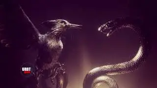 The Hunger Games- Sunrise on the Reaping