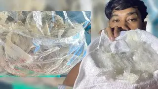 Eii Tii is live!hello Longevity nset
