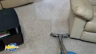 Cleaning Berber Carpet| Satisfying Carpet Cleaning Transformation