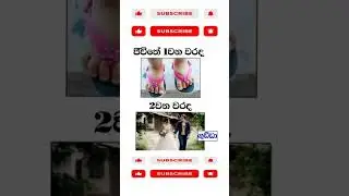 Sinhala funny memes 😛 sinhalafunny #memes # sinhala # shortviral # shortsviews # Subscribe # youtube