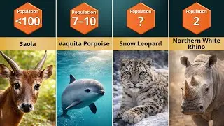 16 Critically Endangered Animals and What's Killing Them