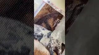 WIP diamond painting dog