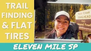 Solo Hiking with My Dog | Eleven Mile State Park & Buffalo Peak Wilderness | Colorado Hiking