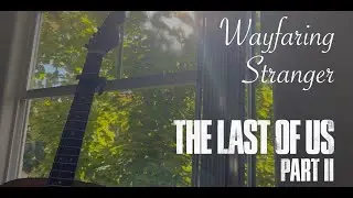 Wafaring Stranger (The Last Of Us Part 2) Cover