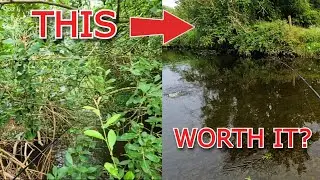 We Waded Through This Jungle Hell&hellip; Then Hooked Trout