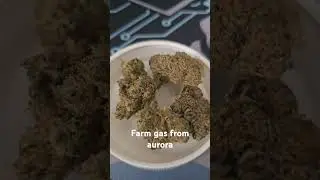 Farm gas from aurora pedanios uk medical prescription