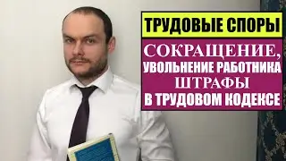 ТРУДОВЫЕ СПОРЫ: Сокращение, увольнение работника.  Штрафы в Трудовом кодексе РФ.  Юрист