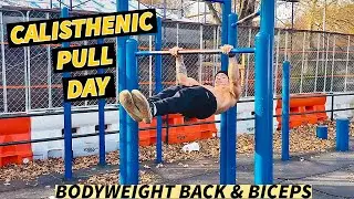 Calisthenics Pull Workout for Back & Biceps | High-Intensity Bodyweight Training
