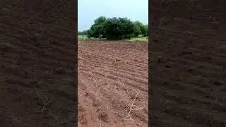 #2acres #land #sale #nimz #area #investments #land #contact .6304312652