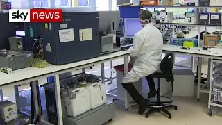Coronavirus: experimental drug stops virus from progressing