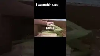 The best Corn Half-Cutting Machine You  Ever Seen. #machine