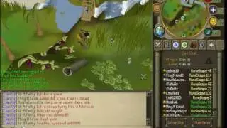 Massive Runescape Graphics Glitch