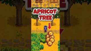 Apricot Tree in the game Stardew Valley!