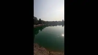 Giant Saltwater Fish Hunt LIVE | 巨大魚ハント生放送 2026-01-12 09:35:52