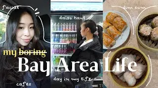 The Bay Area Diaries EP 02 🌁 | Cafes ☕, Smiski Shopping, Dim Sum 🥟, Facial, & more!